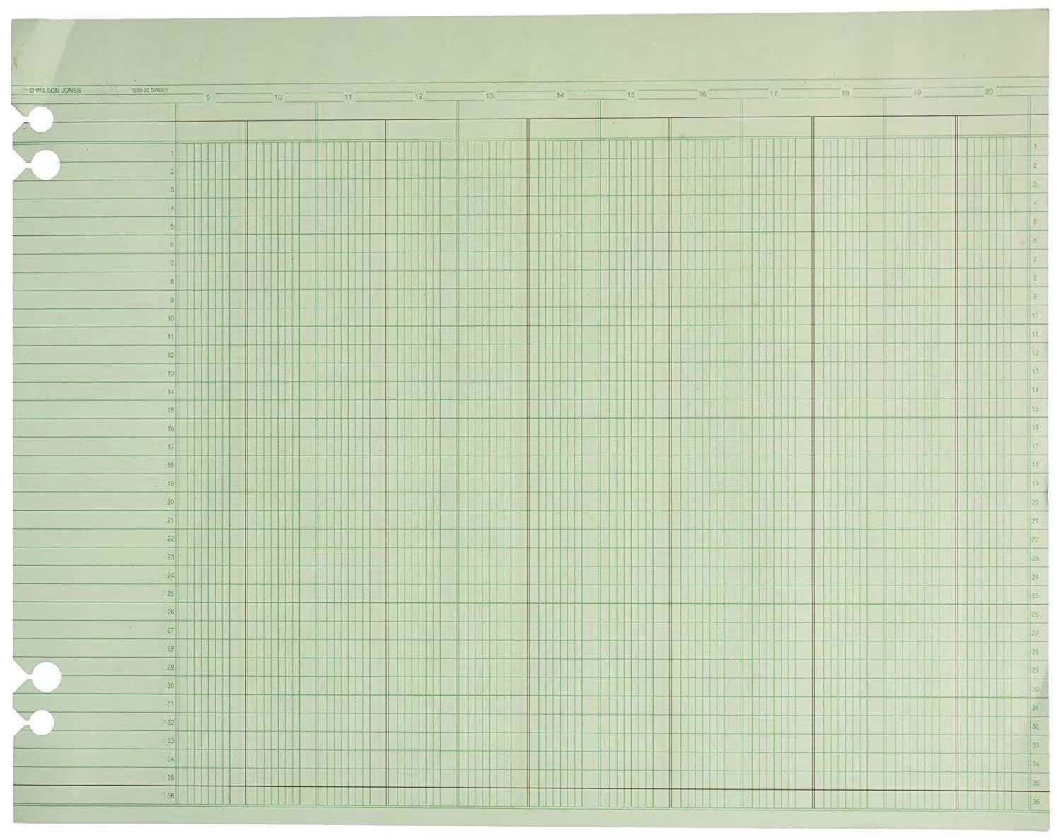 Ledger Green: Compliance Automation and Fraud Mitigation