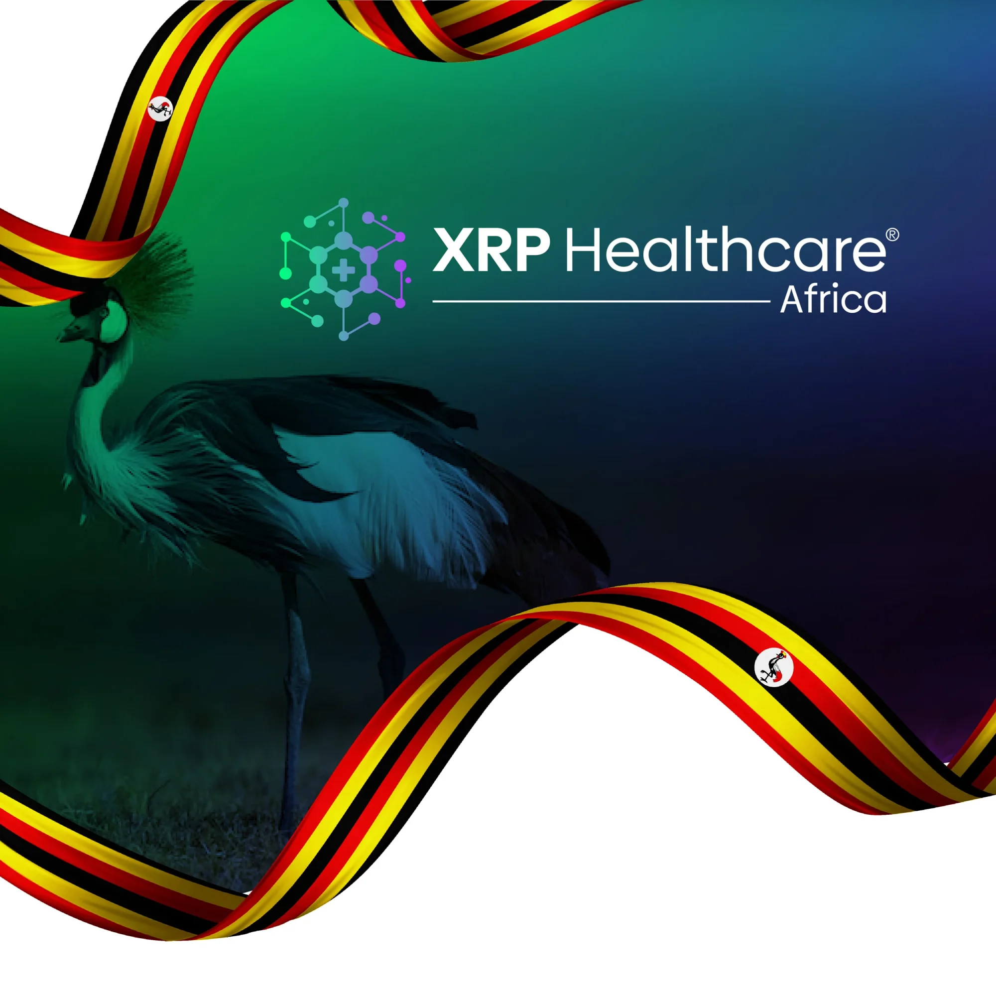 XRP Healthcare